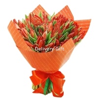 101 красный тюльпан от Delivery Gift.