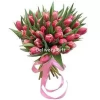 51 бело-розовый тюльпан от Delivery Gift.